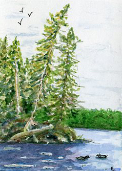 Onland Lake Elizabeth Clayton Brookfield WI watercolor  SOLD